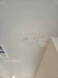 Hi! I have developed a roof leak. Can anyone recommend a good roofing  company? Glad I have not finished the painting job.