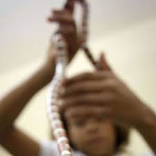 Schlangen in der Schule: Klasse hütet Tiere