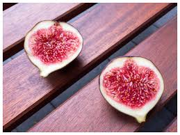 Your coach will monitor your fitbit bracelet for sleep, exercise, nutrition, and weight data to help you become the healthiest you that you can be. Why Fig Is Called The Fruit Of Heaven The Times Of India