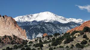 Residential pest control in colorado springs, co. Pest Wildlife Control Wildlife Damage Repair Colorado Springs Co Shoo Wildlife Pest Control