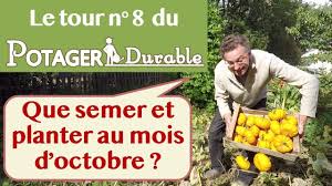 Que Semer Et Planter Au Mois D Octobre Au Potager Vegetables Make It Yourself Planters