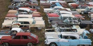 Field Of 600 Neglected Classics In Alberta To Be Auctioned Off In 2021 Old Vintage Cars Classic Cars Trucks Junkyard Dog