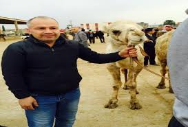 Kiziltepe Hayvan Pazarina Getirilen Develer Ilgi Odagi Oldu Mardinlife
