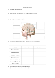 Homeostasis Revision Worksheet Year 9 Science