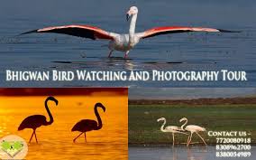 Bhigwan Bird Watching And Photography Tour For More Details Http Bit Ly 1rp7vix Photography Tours Bird Watching Tours