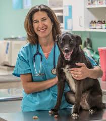 At pet care center veterinary hospital, pet resort & spa, we are dedicated to providing the highest quality medical care available so your pet may experience a longer, healthier life. Midcity Veterinary Hospital Home