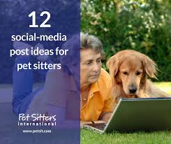 A cat owner needs someone to check in, clean the litter box and put. 12 Social Media Post Ideas For Pet Sitters