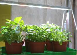 Eine besondere rollen bei der gartengestaltung spielt das element. Genuss Aus Haus Und Garten Im Einklang Mit Der Natur