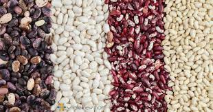 How To De Gas Beans Many Options Whole New Mom