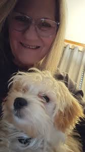 Success with Lord Baltimore hibiscus after four years