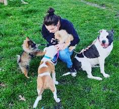 Compare pet sitters services near you for the best pet sitters prices. United Kingdom Pet Boarding Sitting Grooming Petbacker