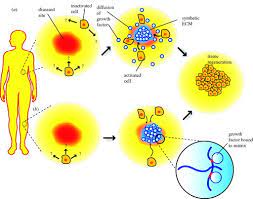 Check spelling or type a new query. Growth Factor Delivery Based Tissue Engineering General Approaches And A Review Of Recent Developments Journal Of The Royal Society Interface