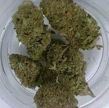 Google is providing the following notices under applicable laws and contracts (the. From The Earth Hanover Michigan Marijuana Dispensary Weedmaps