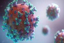 Sometimes new variants emerge and disappear. Is New Covid Variant C 1 2 More Infectious Here S What The Study Says