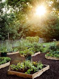 Build a long, low raised bed and plant leeks as a beautiful border in your garden. How To Fill Your Raised Garden Bed Hgtv