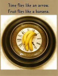 Time Flies Like An Arrow Fruit Flies Like A Banana Time Flies Vs Fruit Flies Fruit Flies Fruit Time Flies