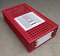 Cage de transport poules et volailles 96x57x27cm 2 portes rouge et blanche