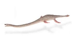 Elasmosaurus is a genus of plesiosaur with an extremely long neck that lived in the late cretaceous period (campanian stage), 80.5 million years ago. Collecta 88922 Elasmosaurus Cm Dinosaur