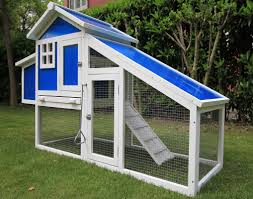 Pets imperial coop has been built to last for a long time. Pets Imperial Highgrove Plastic Chicken Coop Suitable For Up 3 4 Bantams Birds Depending On Size