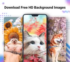 Over 40,000+ cool wallpapers to choose from. Noxlucky Hd Live Wallpaper Caller Show 4d 4k For Android Download