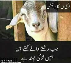 Daaji ma la motor waakhla che garzam pake. Hahaha Funny Pashto And Urdu Jokes Facebook