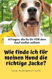 pin auf hundejacken herbst