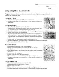 Check spelling or type a new query. Fillable Online Cambriansd Comparing Plant And Animal Cells Lab Cambriansdorg Fax Email Print Pdffiller