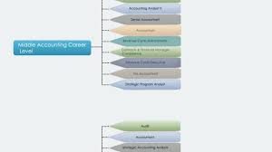 Career Levels In Accounting Hierarchy Chart