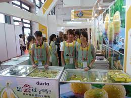 Fast global sdn bhd, mysfaylez berhad, mys. Duria Manufacturing Sdn Bhd Dino Syukl