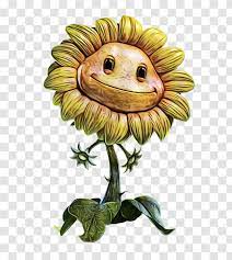 The sunflower is based on the helianthus annuus, or common sunflower. Sunflower Plants Vs Zombies Asterales Daisy Family Transparent Png