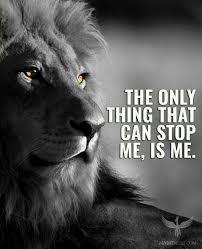 Don T Give Up Https Www Musclesaurus Com Lion Quotes Warrior Quotes Nature Quotes