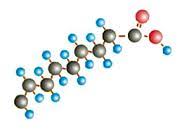 Resultado de imagen de ácidos poliinsaturados