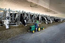 Biggs Farms Ltd
