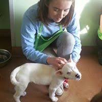 Danielle Novy (daniellen0560)