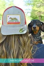 California Dachshund Lovers This Cap Was Made For You Doglover California Dachshundlover Dachshund Lovers Dachshund Accessories Dog Lovers