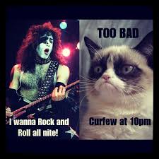The 60s are gone, dope will never be as cheap, sex never as free, and the rock and roll never as great. Rolled Up Funny Cat Quotes Quotesgram