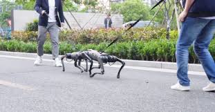 Once they have been separated, keep the dogs out of each other's sight. These Two Robot Dogs Can Keep Fighting Like Real Dogs