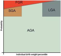 frontiers the possible role of placental morphometry in