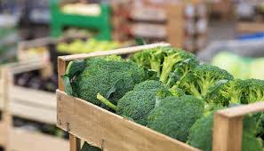 For some it will be a bit less and for a few it may be a how long can 10 week old puppy hold bladder? 7 Tips For Better Bladder Health Lifespan