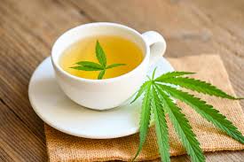 chá de cannabis ervas na xícara de chá com folha de cannabis folhas de  maconha erva, chá de saúde com folha de cânhamo planta thc cbd ervas  alimentos e médicos 12426036 Foto