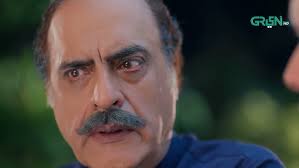 Sultan Ko Sara Such Samjh Aagaya