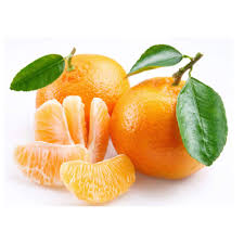 Image result for Citrus reticulata