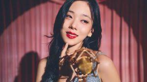 BIBI Profile and Facts (Updated!)