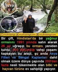 Orman Muthisbilgi Dag Dogadan Gezelimgorelim Kamp Bengallove Bengalworld Bengalsofinstagram Ilmekilmek Belgesel Hayvansevgisi Kopekler H In 2020