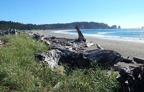 La Push Beach - Wikipedia