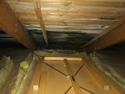 Image result for site:byggahus.se Ekofiber