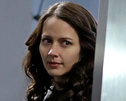 I>Person of Interest</i>: Amy Acker Now Series Regular