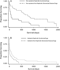 Comparison Of Signalment Clinicopathologic Findings Histologic Diagnosis And Prognosis In Dogs With Glomerular Disease With Or Without Nephrotic Syndrome Klosterman 2011 Journal Of Veterinary Internal Medicine Wiley Online Library