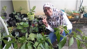 Baja Kompos Petrosains