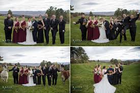 Sanctuary Colorado Weddings Llamas Colorado Wedding Colorado Wedding Photographer Wedding Videographer